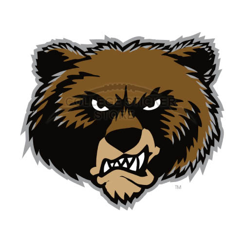 Personal Montana Grizzlies Iron-on Transfers (Wall Stickers)NO.5171